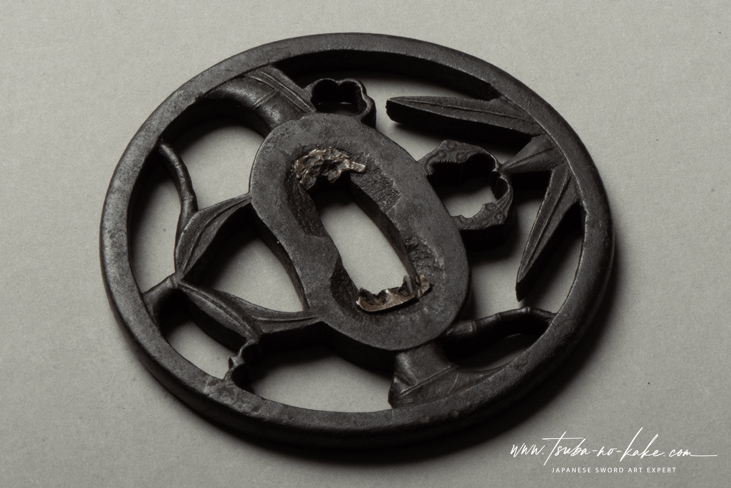 Tsuba - Būshū, Bamboo Myoga, Antik Japan