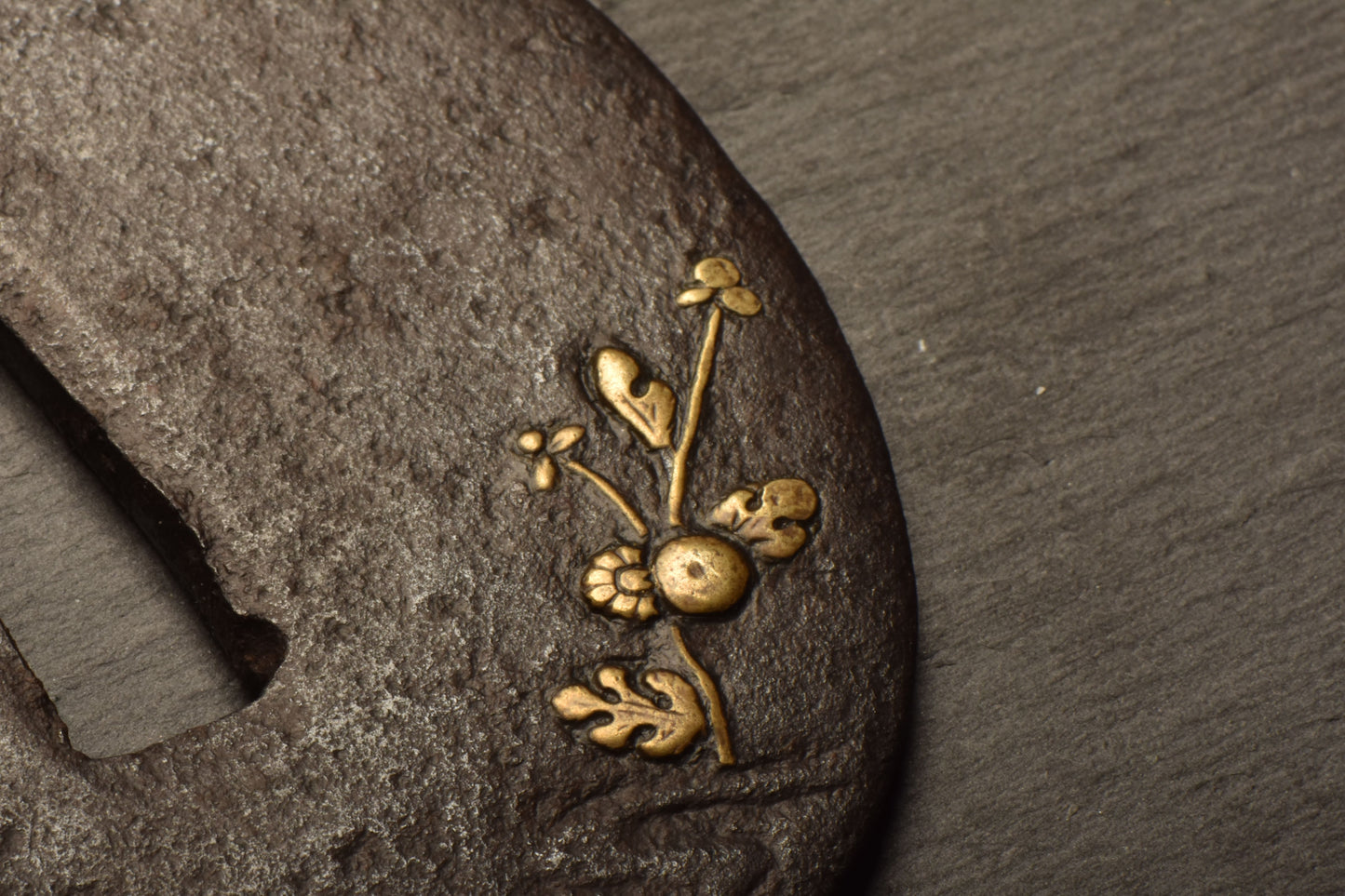 Tsuba - Myochin - Muneyasu, 10th Master NBTHK Zertifikat Hozon