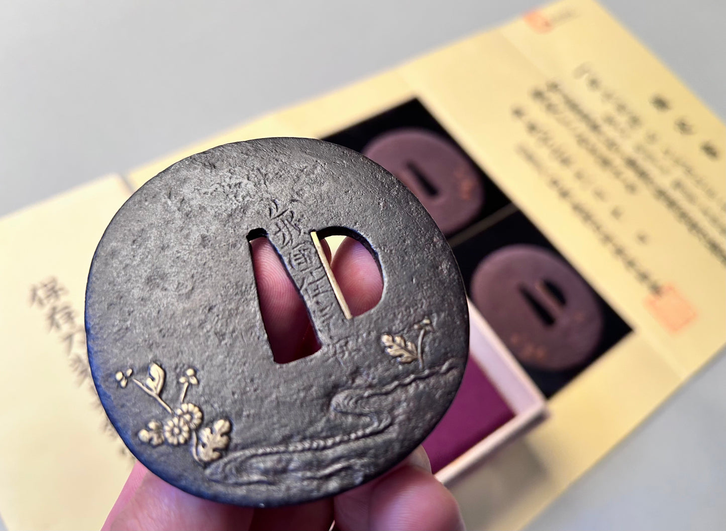 Tsuba - Myochin - Muneyasu, 10th Master NBTHK Zertifikat Hozon