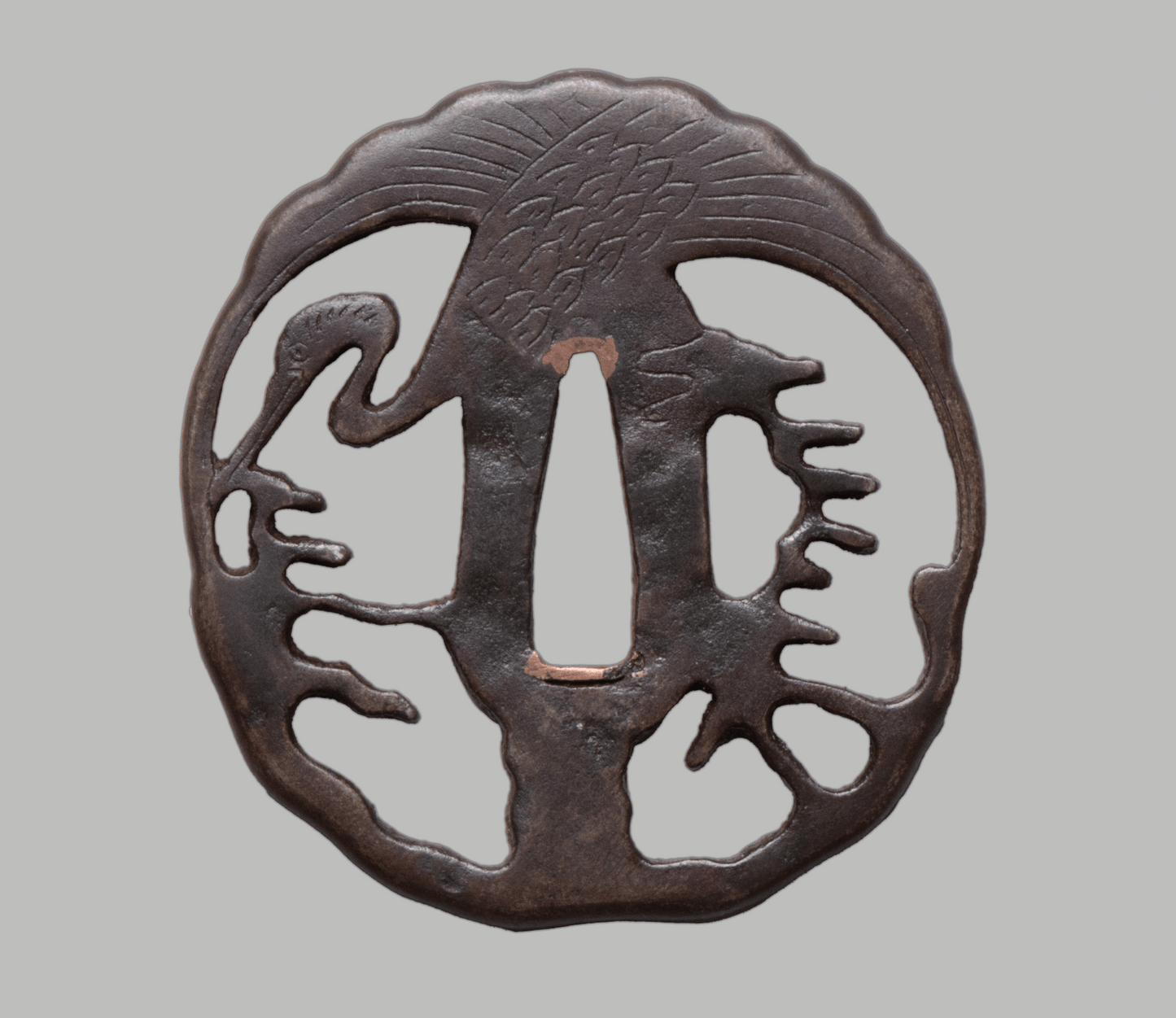 Tsuba - Higo Nishigaki School, Antik Japan