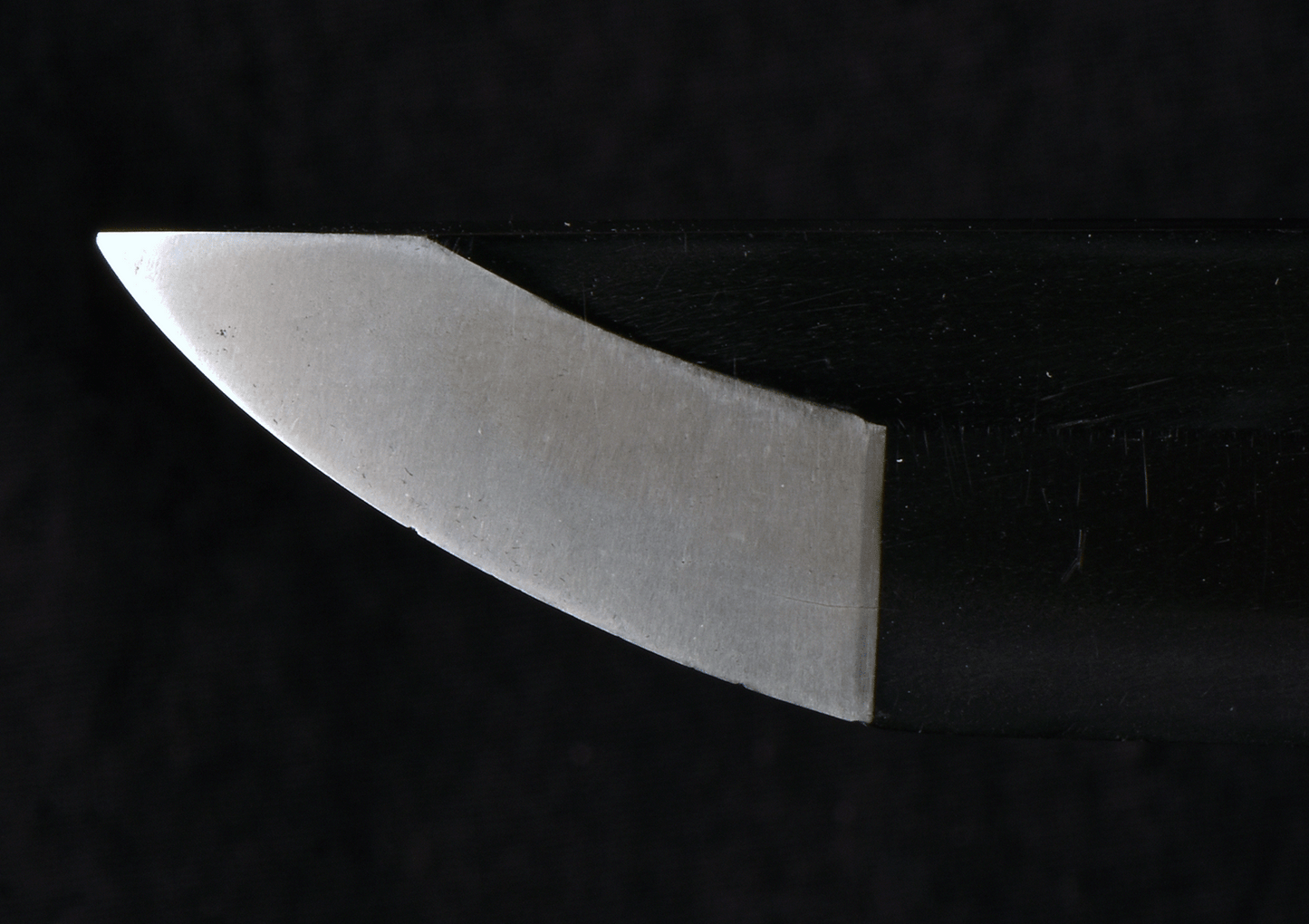 Katana Mihara School - mumei(無銘) - Muromachi | Sengoku period